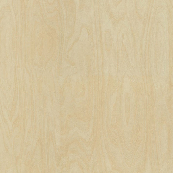 Raw Birchply - 8910 - Formica Laminate