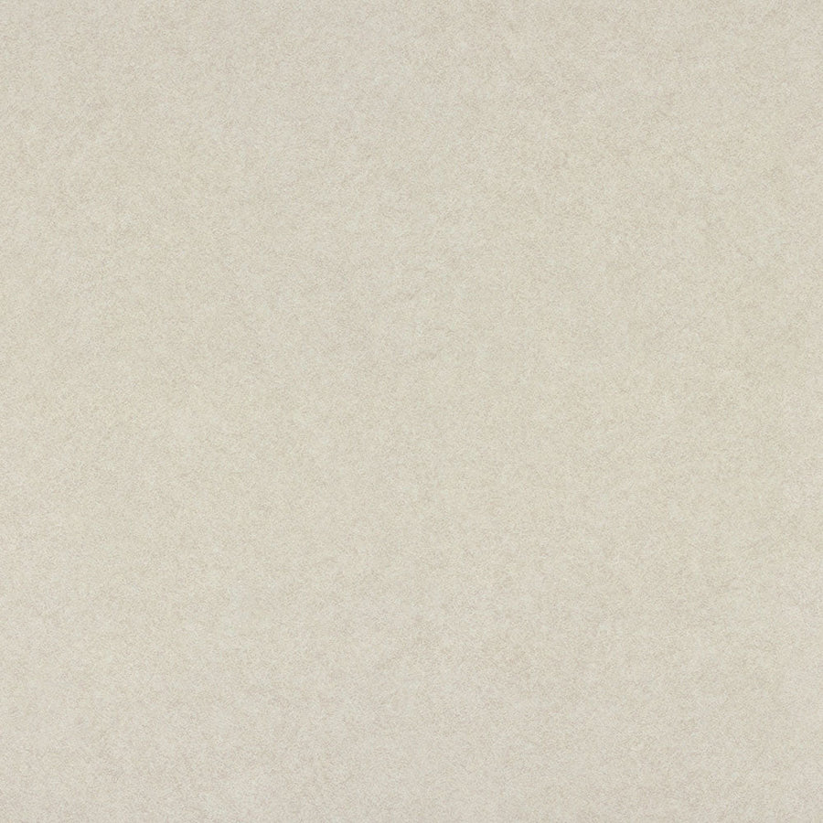 Beige Pampas - 4170 - Wilsonart