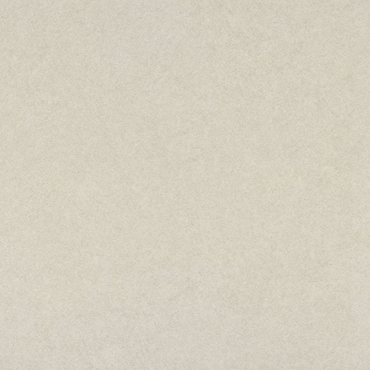 Beige Pampas - 4170 - Wilsonart Laminate
