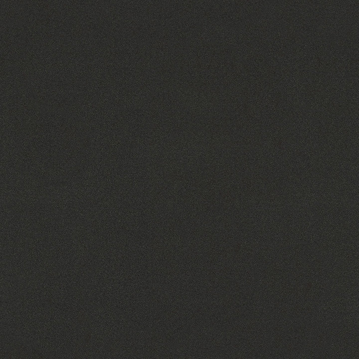 Graphite Nebula - 4623 - Wilsonart