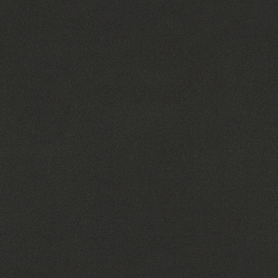 Graphite Nebula - 4623 - Wilsonart