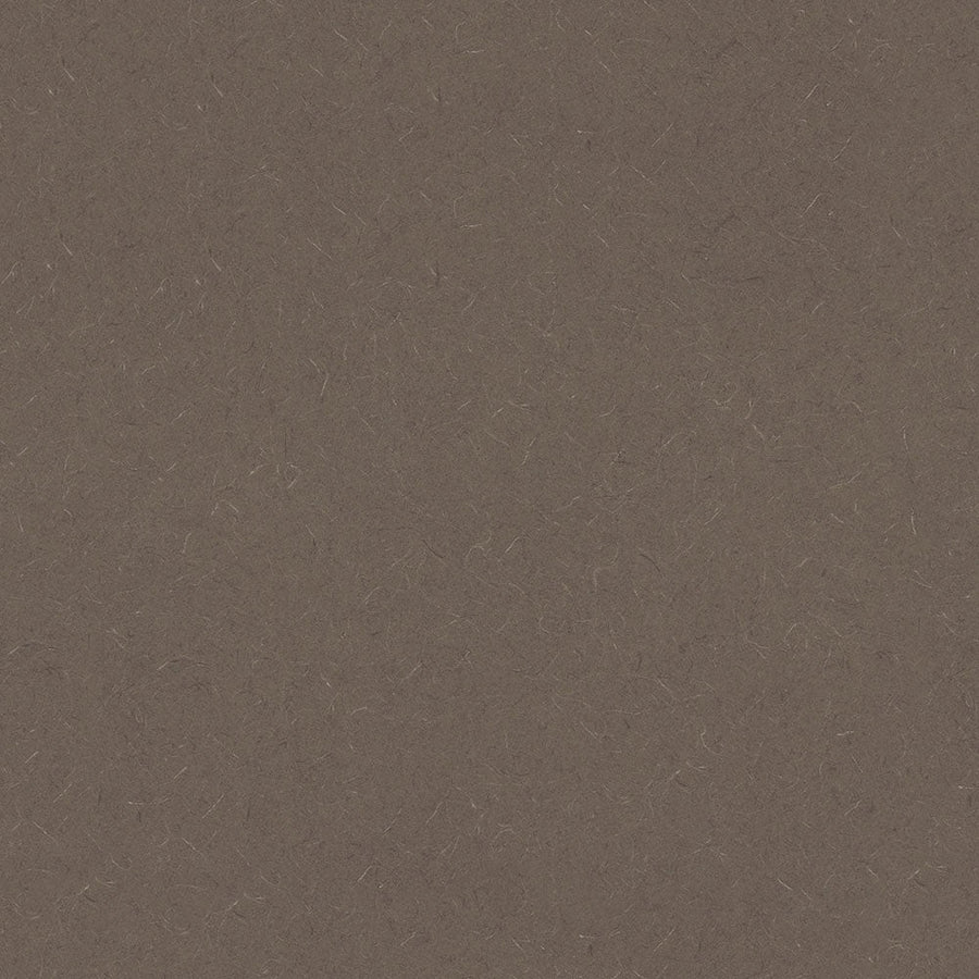Evening Tigris - 4674 - Wilsonart Laminate Sheets