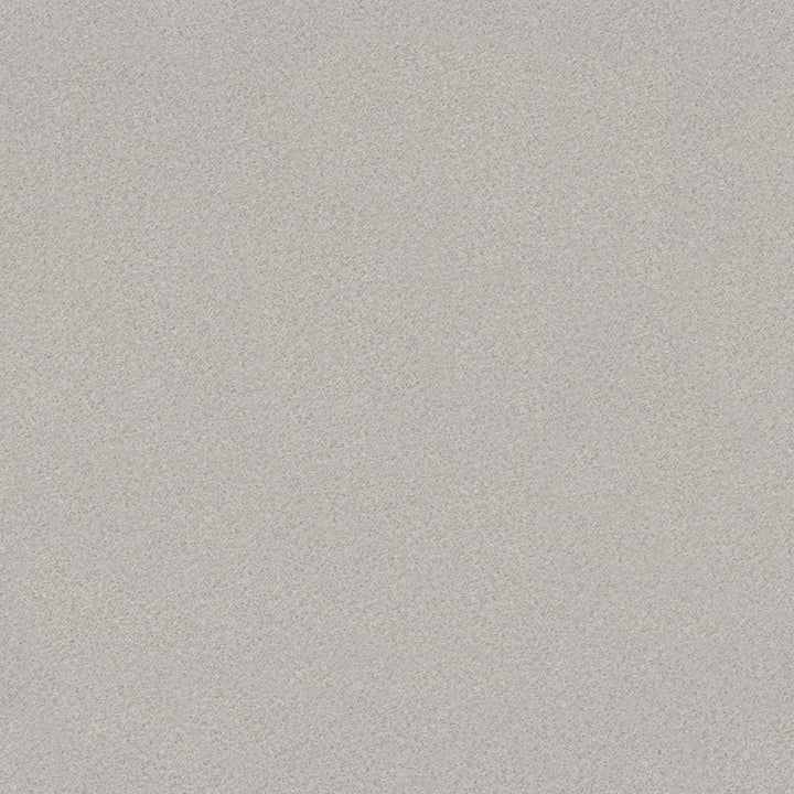 Titanium Ev - 4810 - Wilsonart Laminate