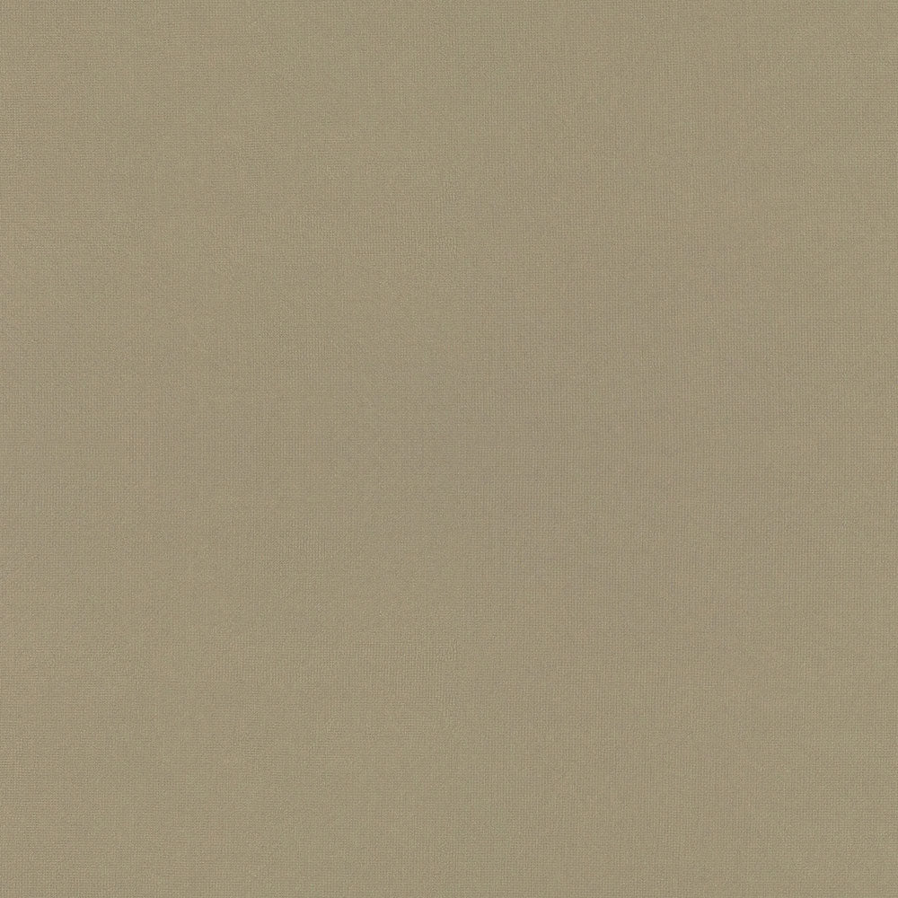 Gilded Mesh - 4912 - Wilsonart Laminate