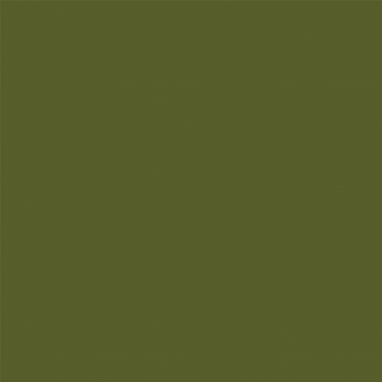 Algae - 8796 - Formica Laminate