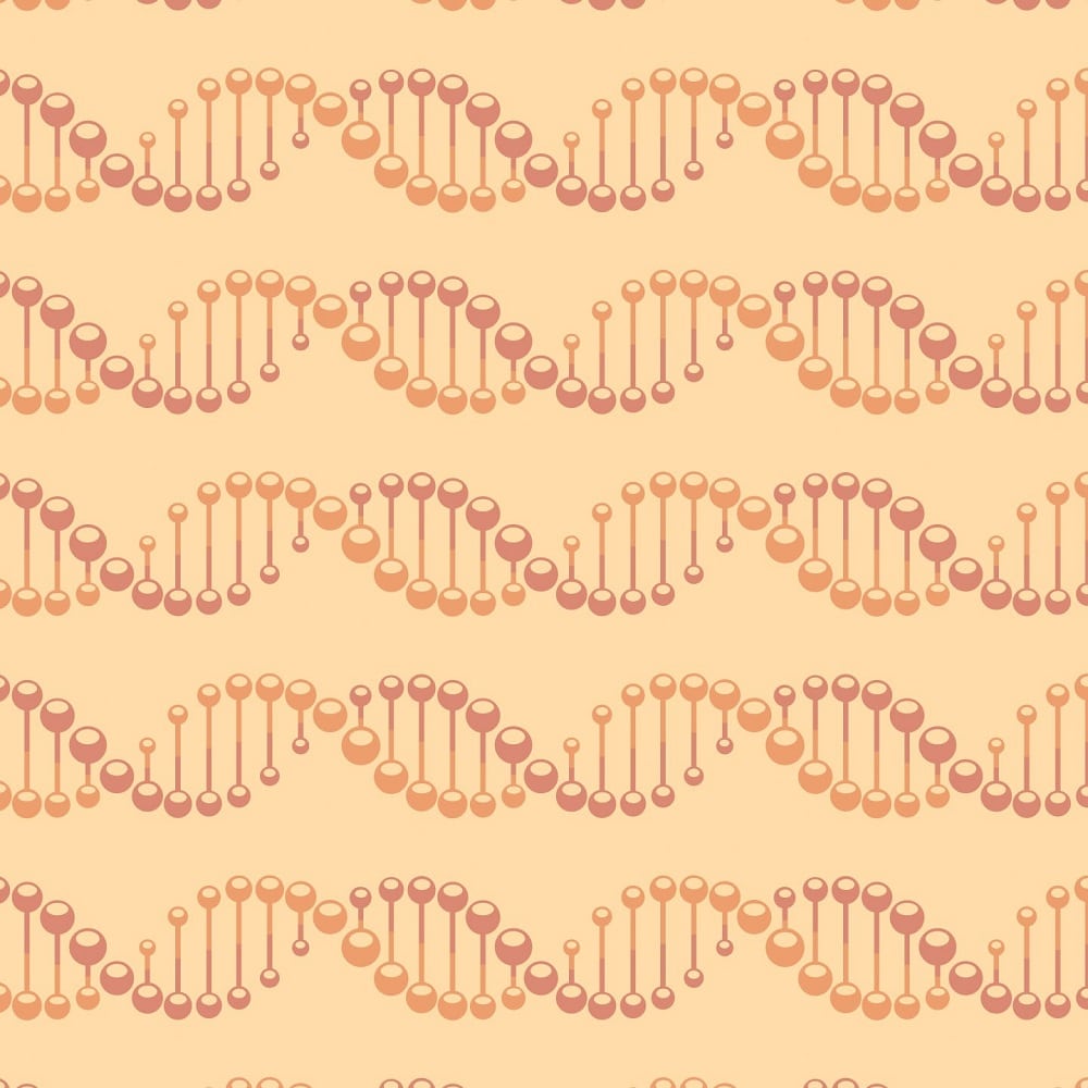 Poppy Code - Y0139 - Wilsonart Virtual Design Library Laminate Sheets