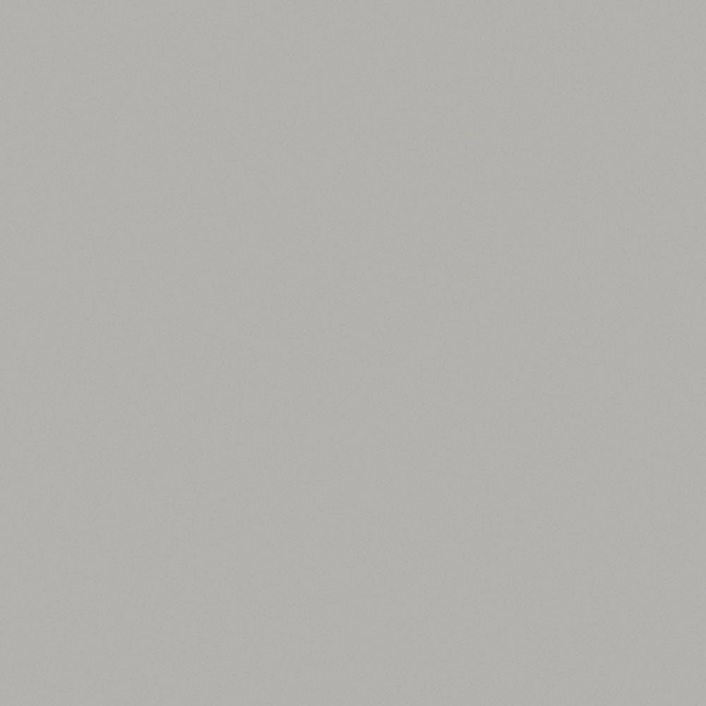 Platinum - D315 - Wilsonart Laminate