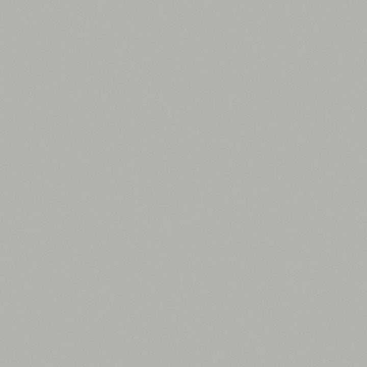 Platinum - D315 - Wilsonart Laminate