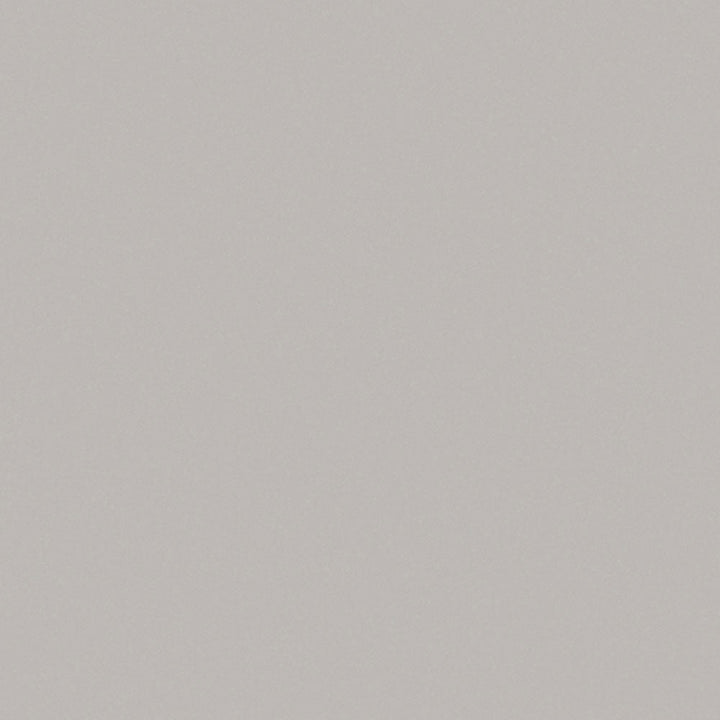 Fashion Grey - D381 - Wilsonart