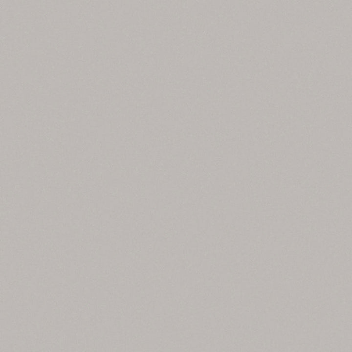 Fashion White - D381 - Wilsonart Laminate