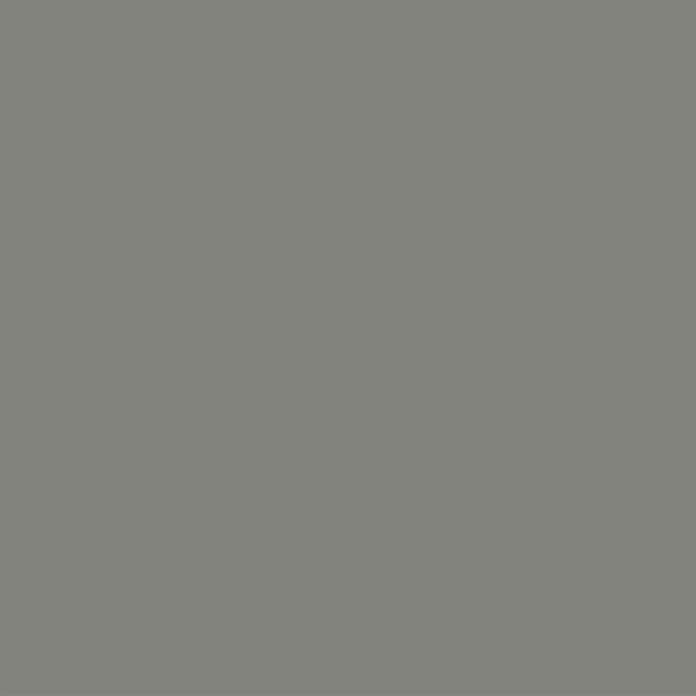 Fossil Shale - D504 - Wilsonart Laminate