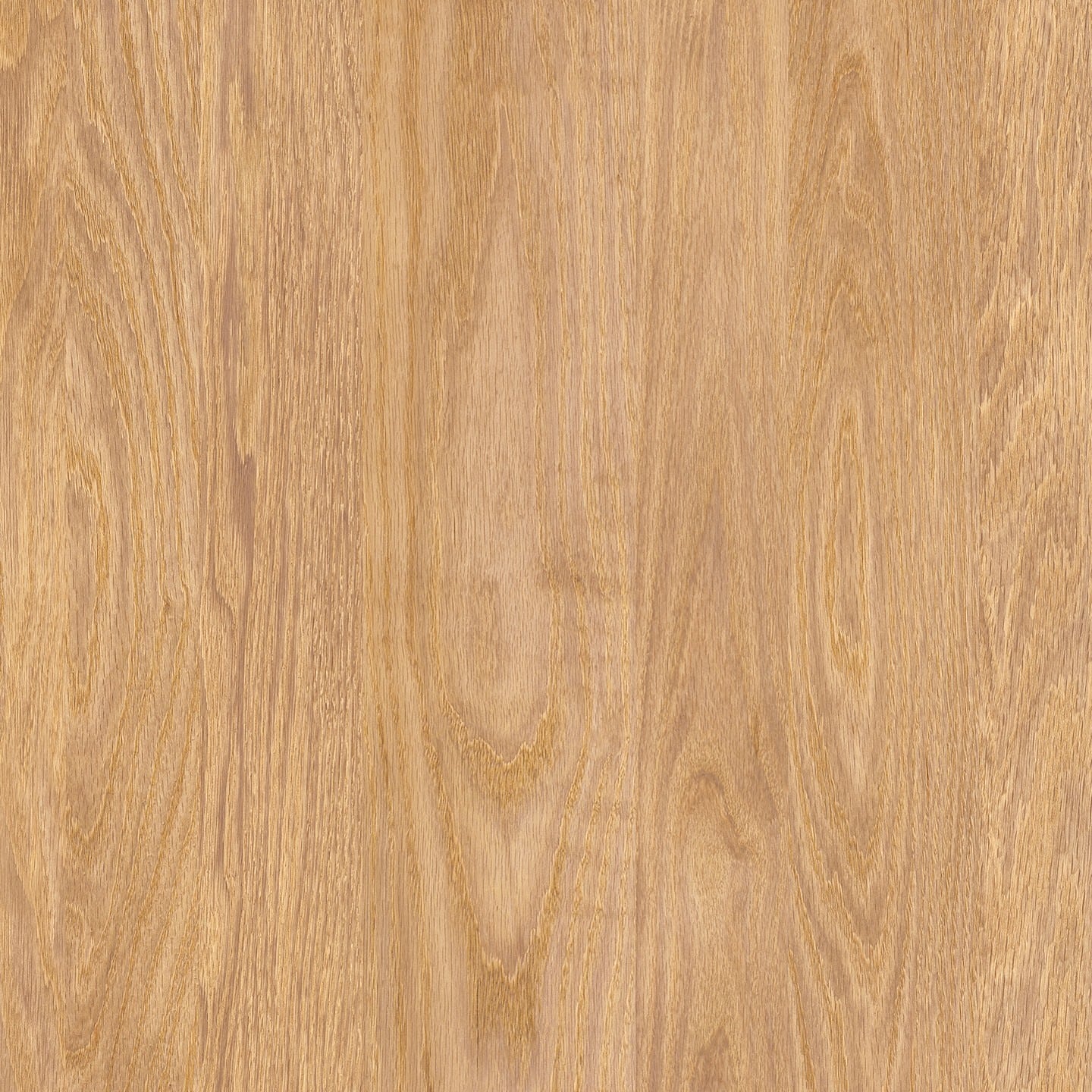 Alpha Collection Luxury Vinyl Flooring in Coastal Oak | TRUCOR
