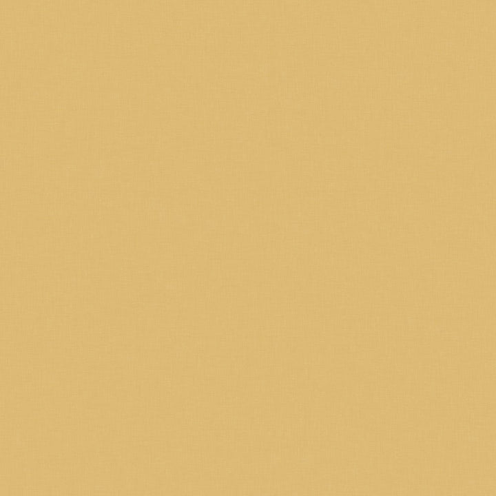 Pale Brass - Y0376 - Wilsonart Virtual Design Library Laminate Sheets