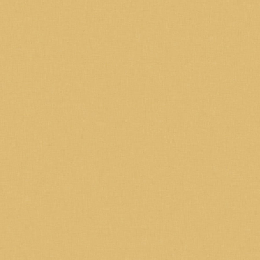 Pale Brass - Y0376 - Wilsonart Virtual Design Library Laminate Sheets