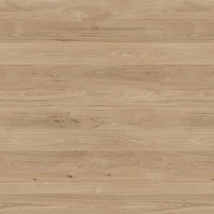 Harbour Hickory - Y0816 - Wilsonart Virtual Design Library Laminate Sheets