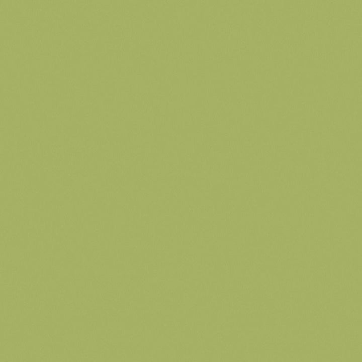 Tomatillo - Y0836 - Wilsonart Virtual Design Library Laminate Sheets