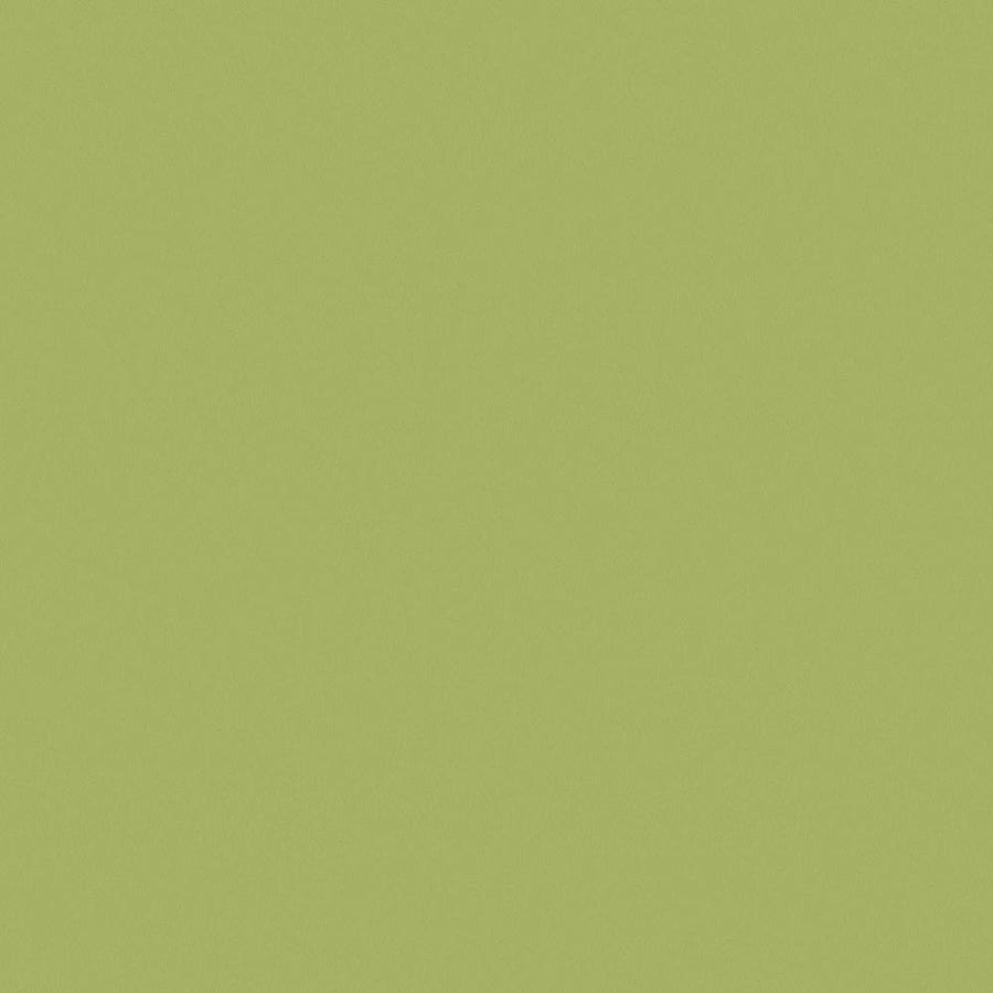 Tomatillo - Y0836 - Wilsonart Virtual Design Library Laminate Sheets