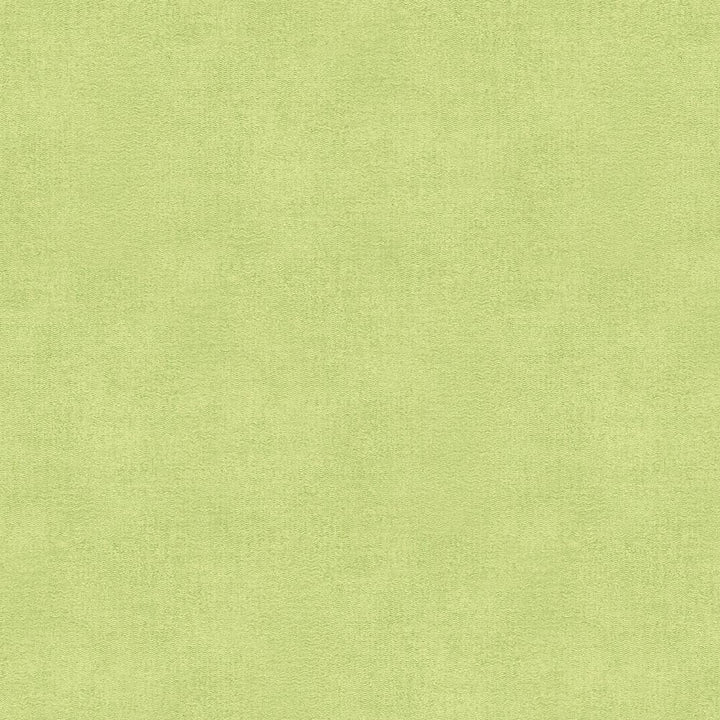 Kiwi - Y0861 - Wilsonart Virtual Design Library Laminate Sheets