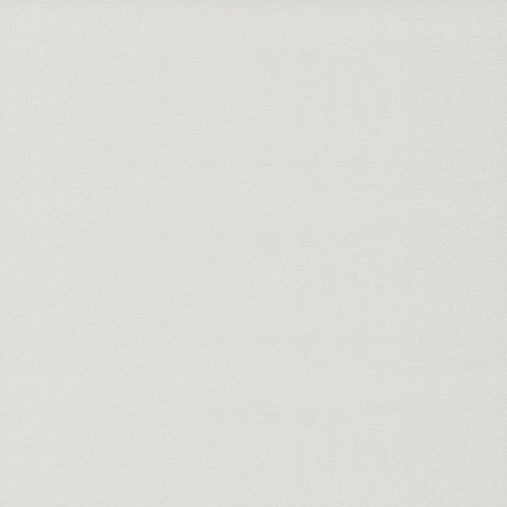 Starched Paperfold - 8678 - Formica Laminate Sheets