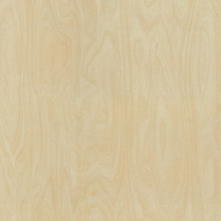 Raw Birchply - 8910 - Formica Laminate 