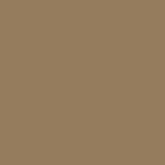 Indian Smoke - 913 - Formica Laminate PVC Edgeband