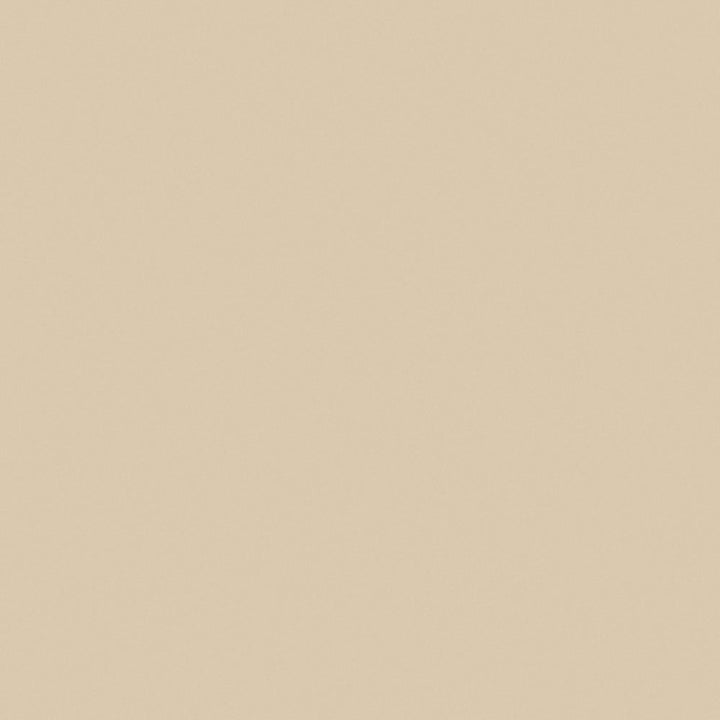 Light Beige - 1531 - Wilsonart Laminate 