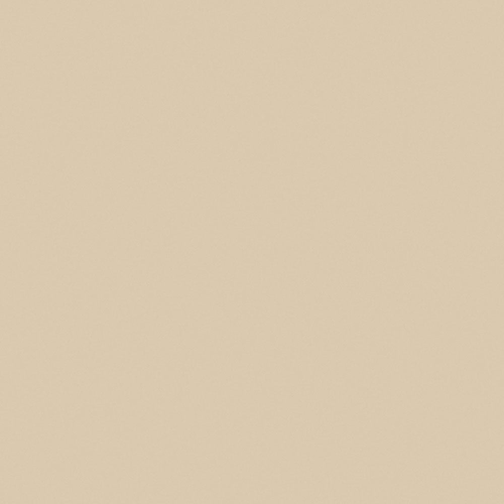 Light Beige - 1531 - Wilsonart 
