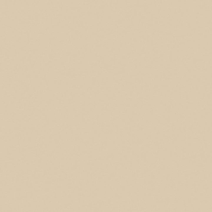 Light Beige - 1531 - Wilsonart 