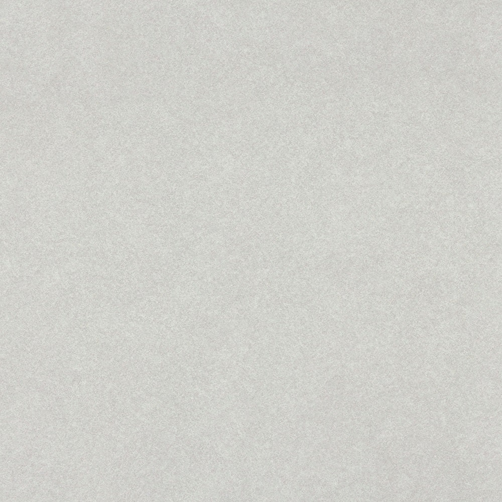 Grey Pampas - 4168 - Wilsonart 