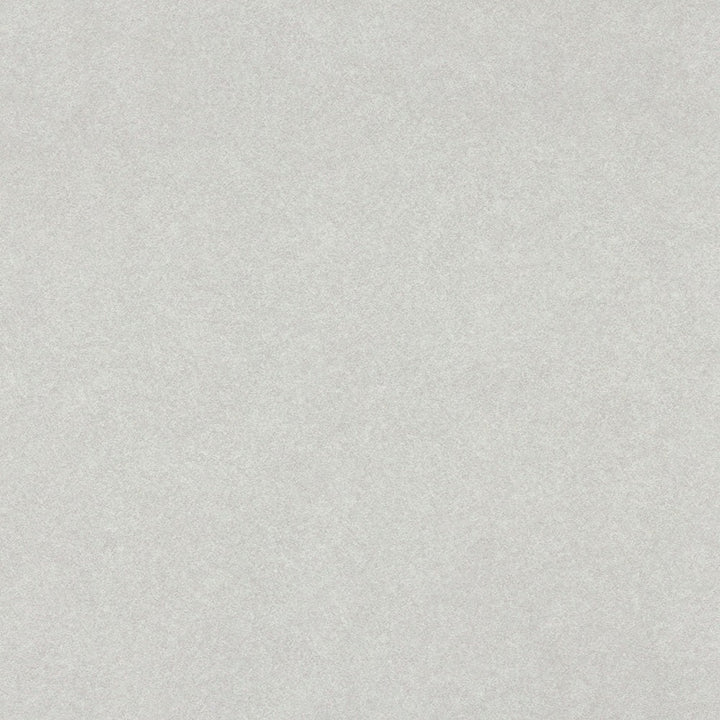 Grey Pampas - 4168 - Wilsonart 