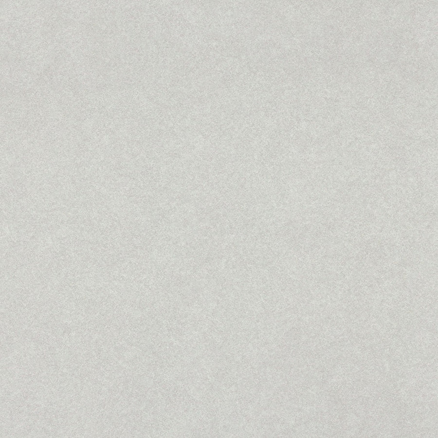 Grey Pampas - 4168 - Wilsonart 