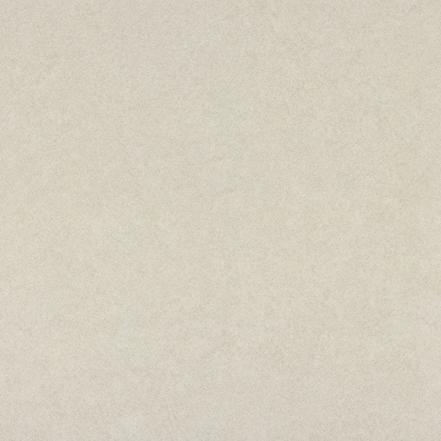 Beige Pampas - 4170 - Wilsonart Laminate Sheets