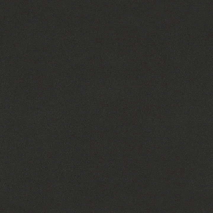 Graphite Nebula - 4623 - Wilsonart Laminate 