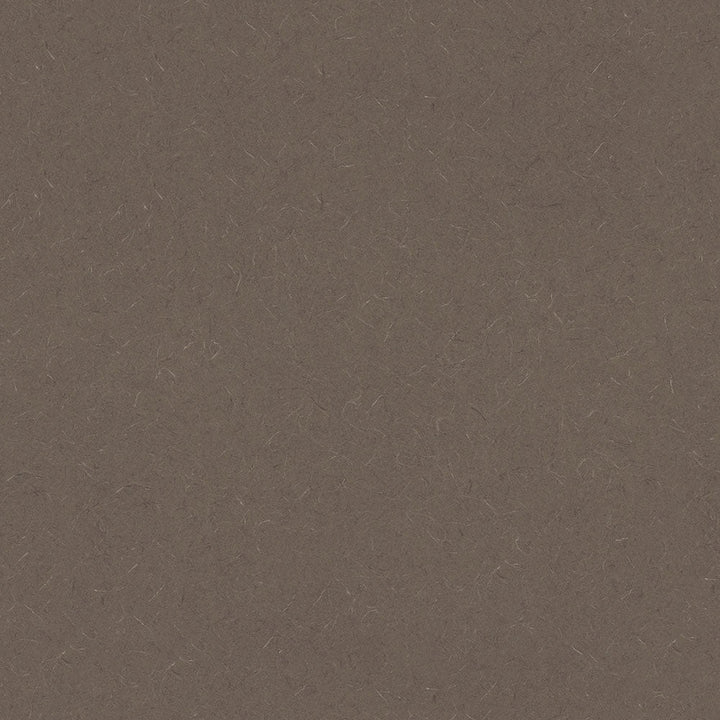 Evening Tigris - 4674 - Wilsonart Laminate 