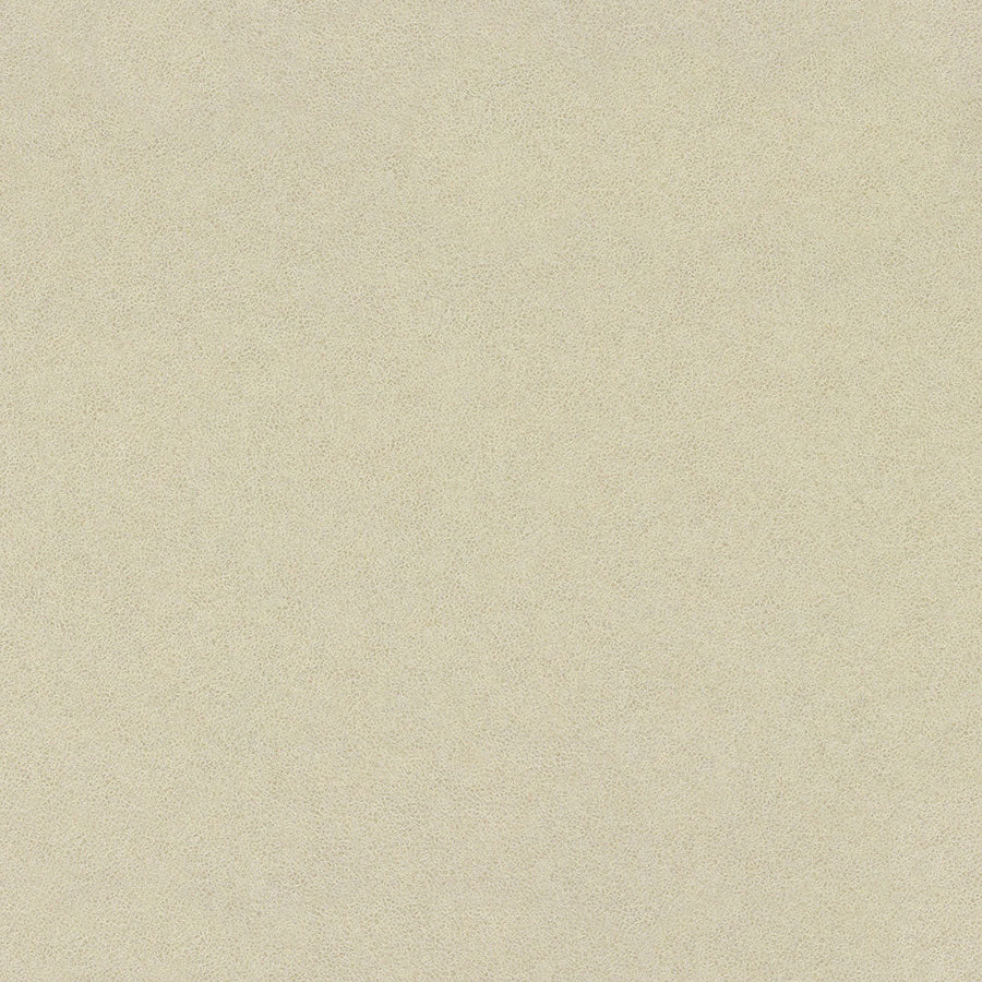 Western White - 4869 - Wilsonart 