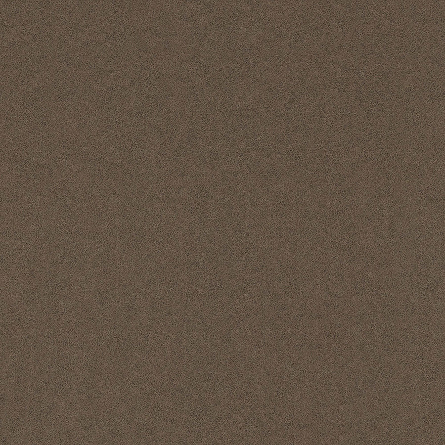 Western Storm- 4872 - Wilsonart 