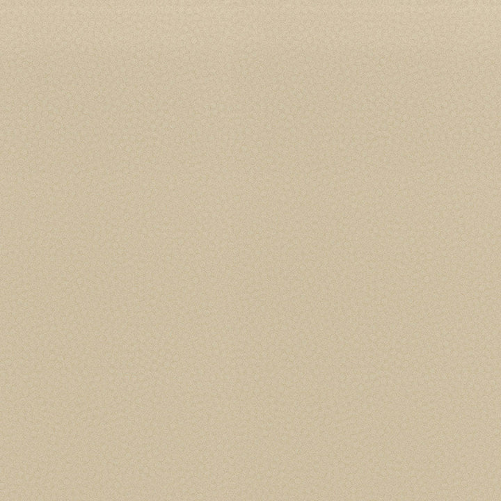 Cream Fizz - 4933 - Wilsonart Laminate 