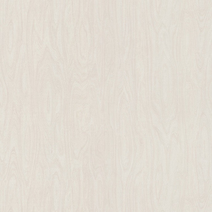 White Washed Birchply - 6372 - Formica Laminate Sheets