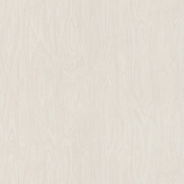 White Washed Birchply - 6372 - Formica Laminate 