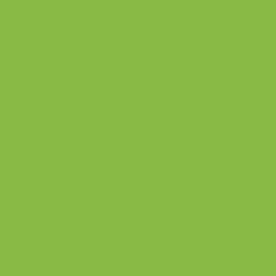 Vibrant Green - 6901 - Formica Laminate 