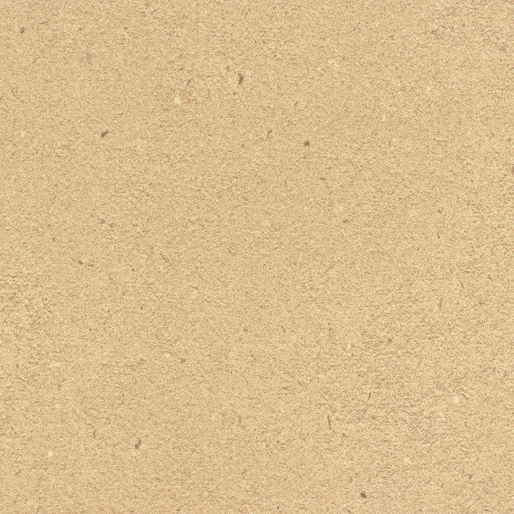 Cardboard Solidz - 7813 - Formica Laminate PVC Edgeband