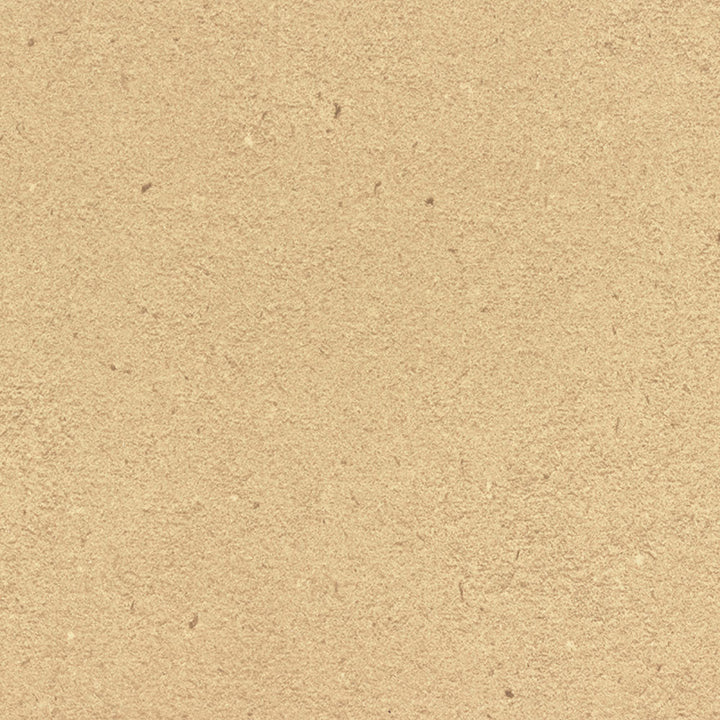 Cardboard Solidz - 7813 - Formica Laminate PVC Edgeband