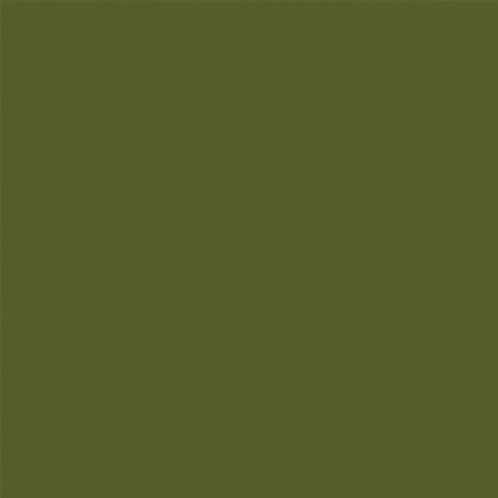 Algae - 8796 - Formica Laminate Sheets