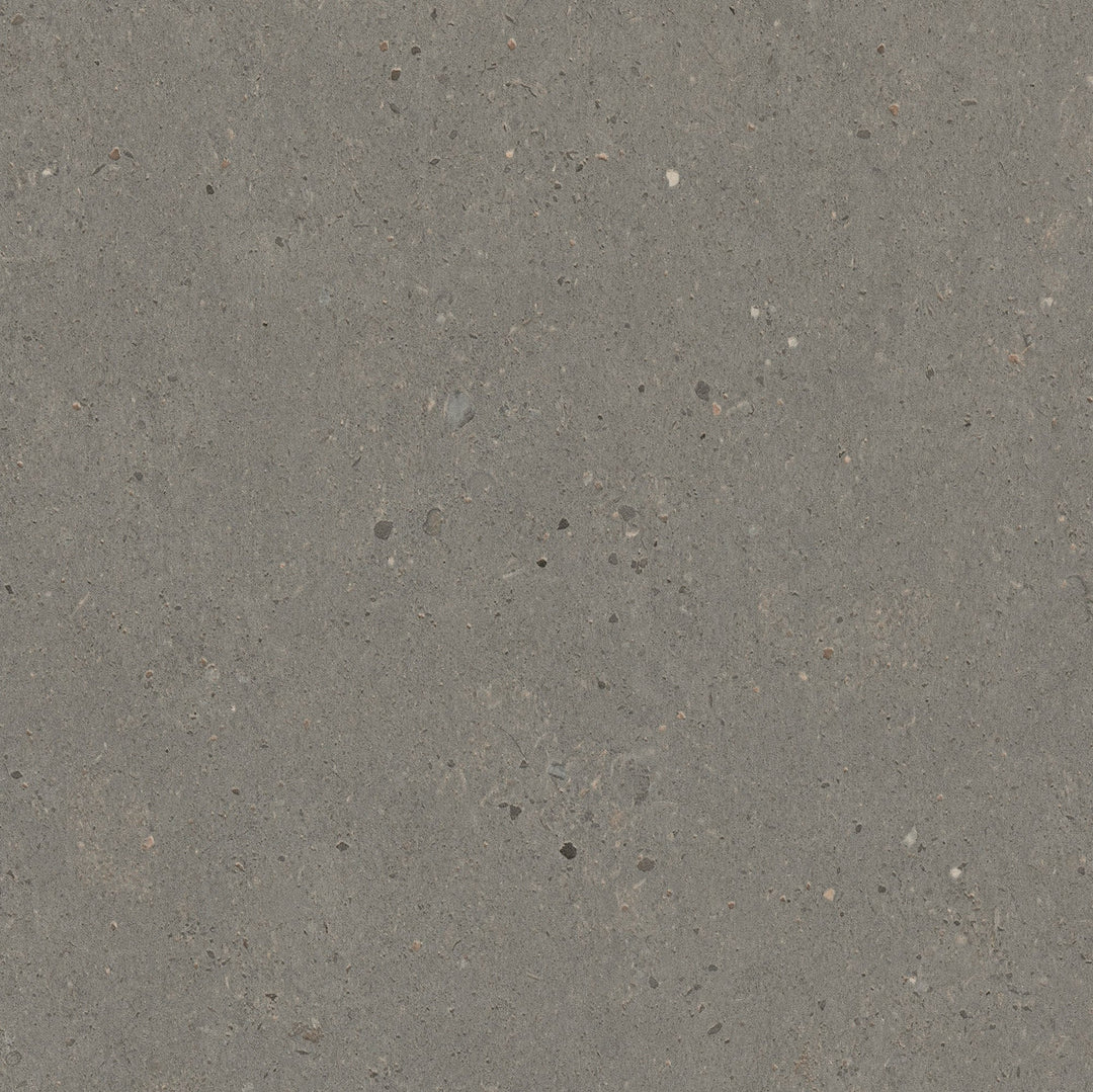 Flint Siltstone - 9037 - Formica Laminate Sample