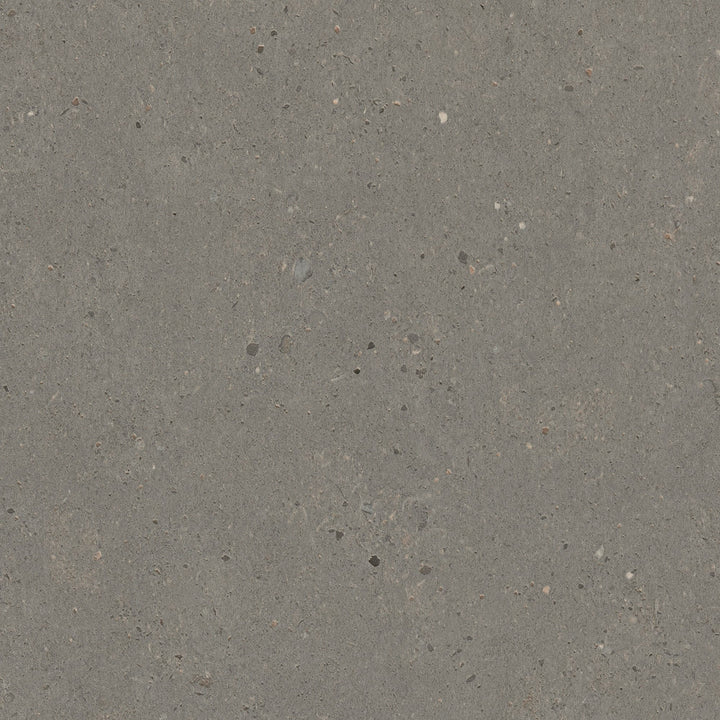 Flint Siltstone - 9037 - Formica Laminate