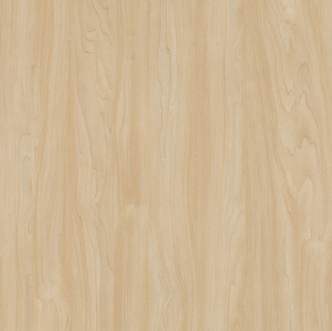 9039 Silver Maple