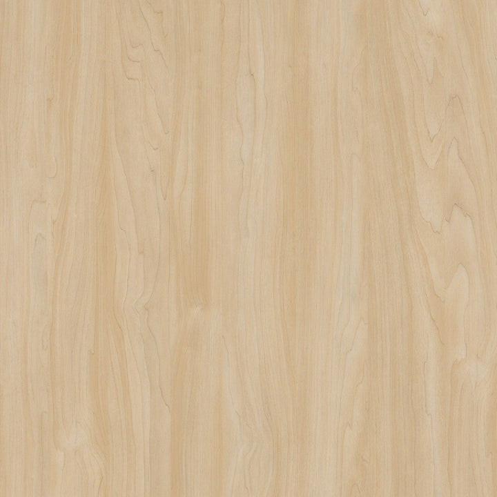 9039 Silver Maple