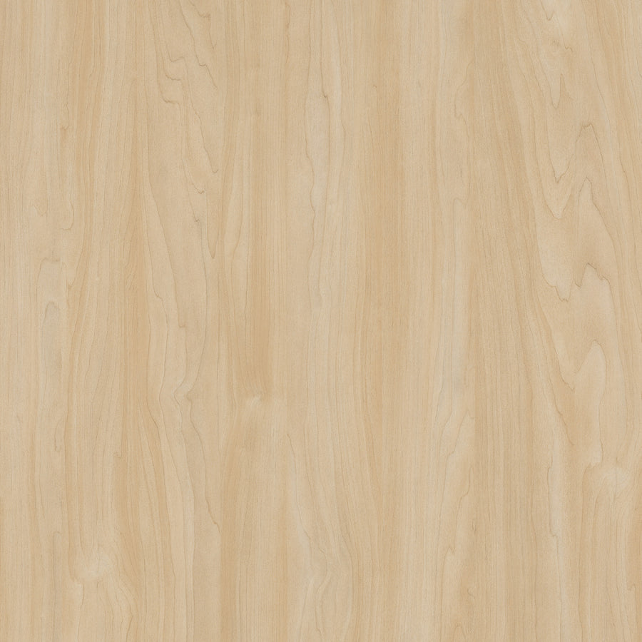 9039 Silver Maple