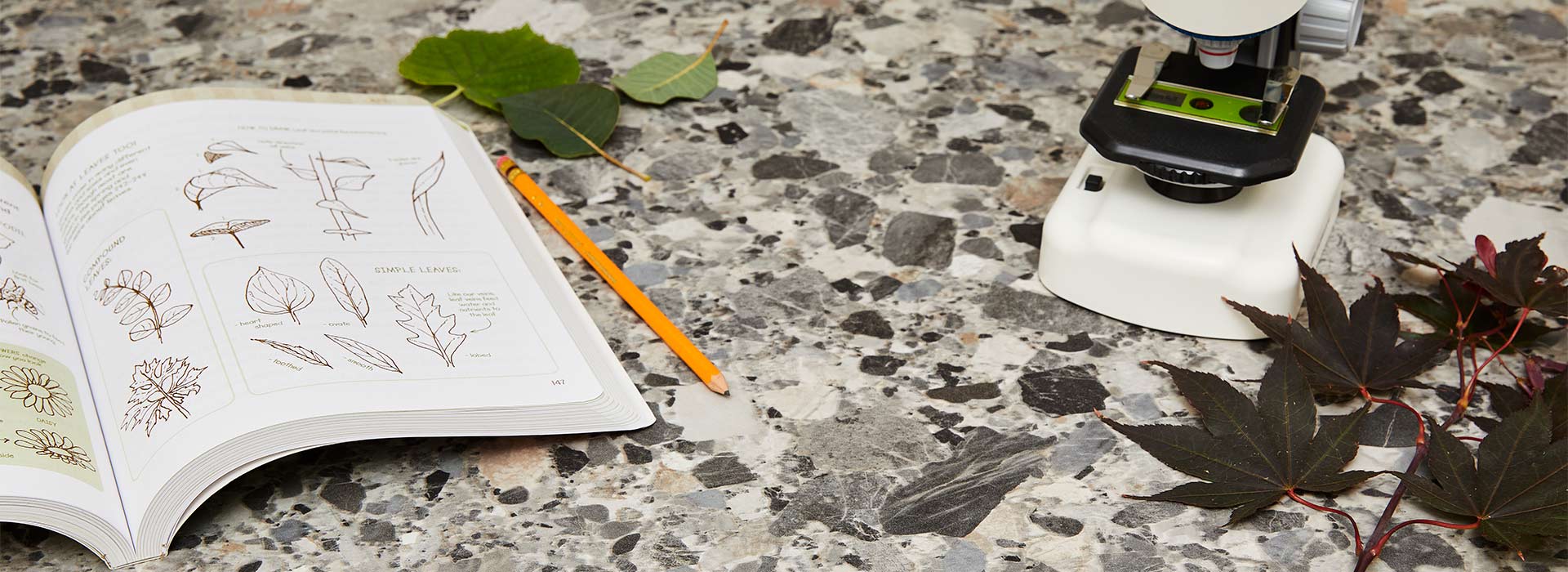 Breccia Mojave - 9918 - Formica 180fx Laminate Sheets