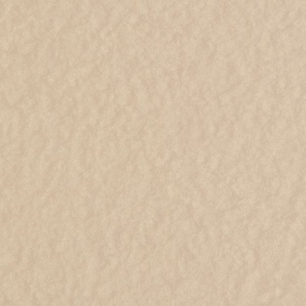 Beige Crepe - AT251 - Pionite 